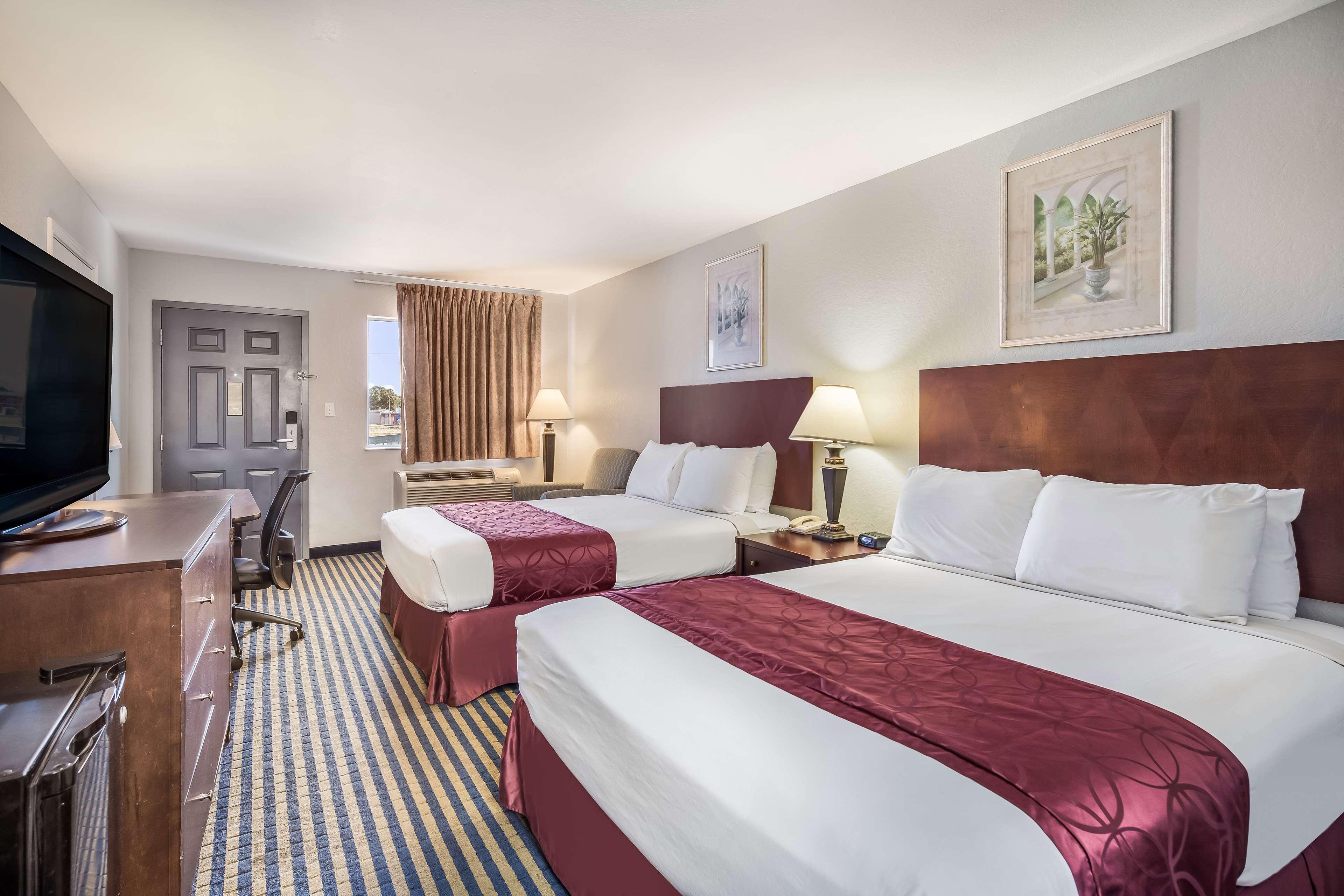 Bristol Jangada Meirelles