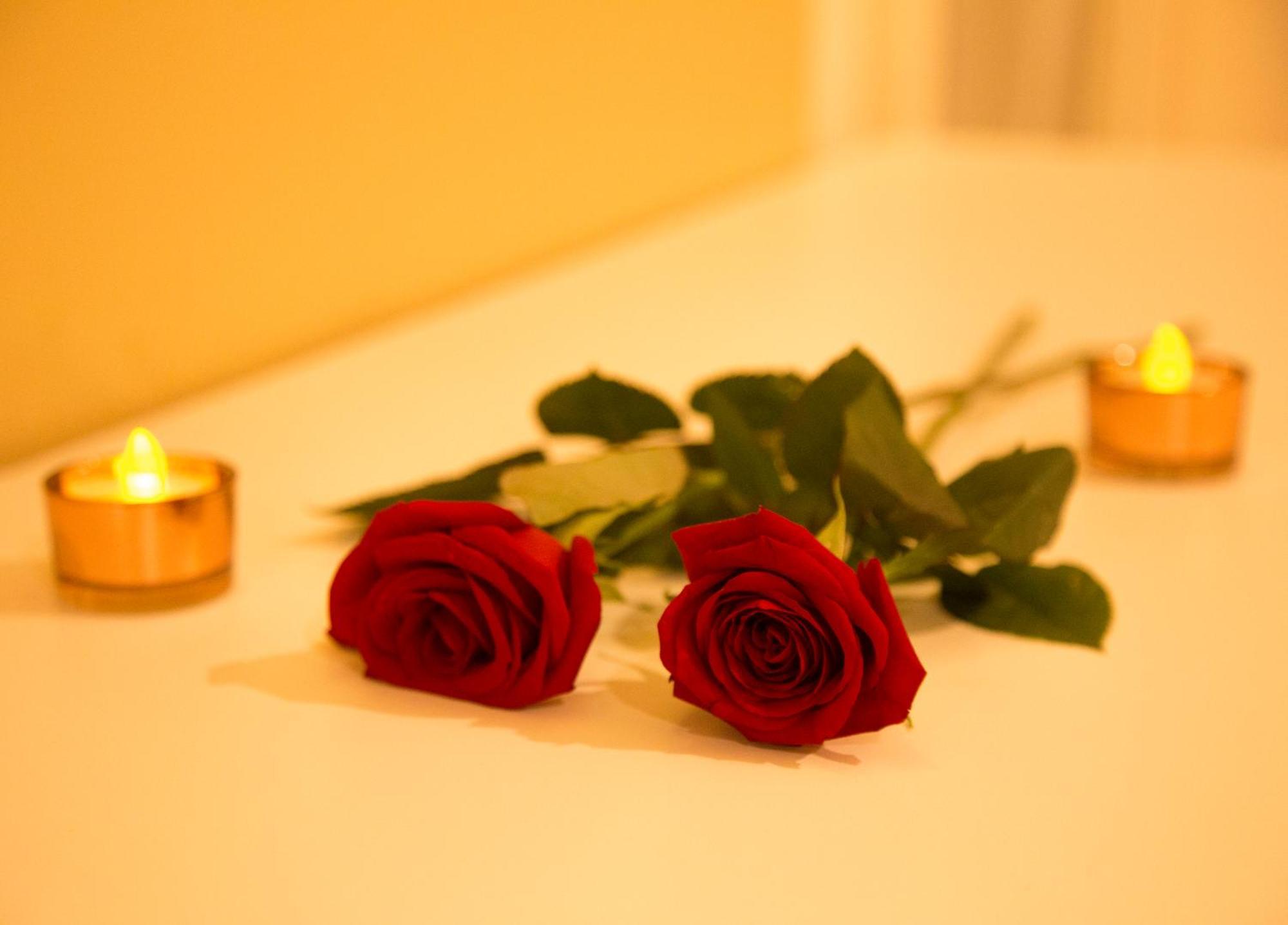 Bristol Jangada Meirelles 4*